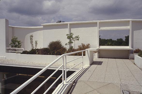 Dakterras